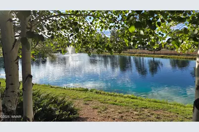 2274 Water N Hole Road, Overgaard, AZ 85933 - Photo 38