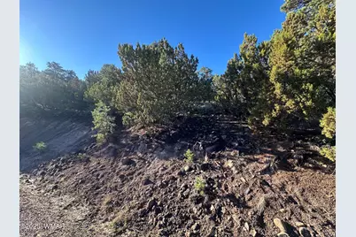 1665 W Valley Vista Drive, Eagar, AZ 85925 - Photo 2