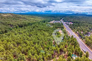 372 W White Mountain Blvd, Lakeside, AZ 85929 - Photo 22