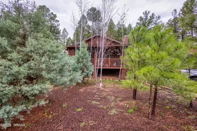 4800 W Tatanka Loop, Show Low, AZ 85901 - Photo 24