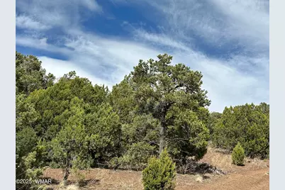Tbd N3135, Vernon, AZ 85940 - Photo 2