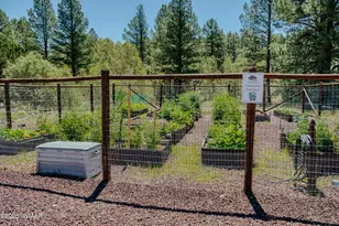 4640 West Tatanka Lp, Show Low, AZ 85901 - Photo 42