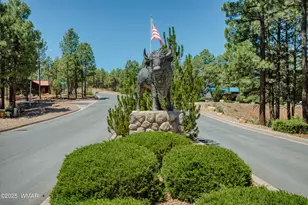 4646 W Tatanka Loop, Show Low, AZ 85901 - Photo 2