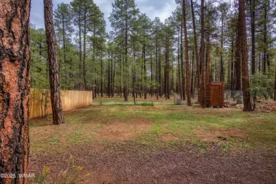 372 W White Mountain Boulevard, Lakeside, AZ 85929 - Photo 38