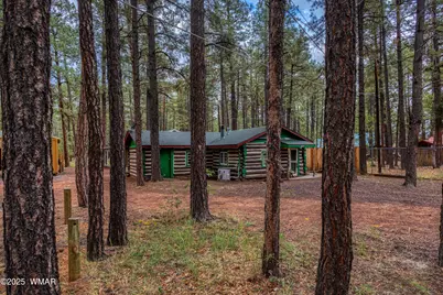 372 W White Mountain Boulevard, Lakeside, AZ 85929 - Photo 2