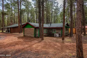 372 W White Mountain Blvd, Lakeside, AZ 85929 - Photo 1