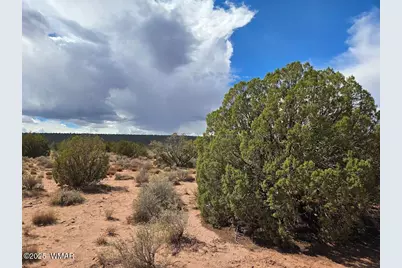 4012 Colt Road, Snowflake, AZ 85937 - Photo 4