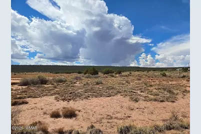 4012 Colt Road, Snowflake, AZ 85937 - Photo 12