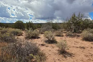 4012 Colt Rd, Snowflake, AZ 85937 - Photo 1