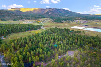 7 Eric Lane, Alpine, AZ 85920 - Photo 16