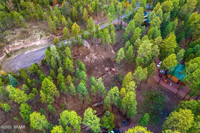 7 Eric Lane, Alpine, AZ 85920 - Photo 10