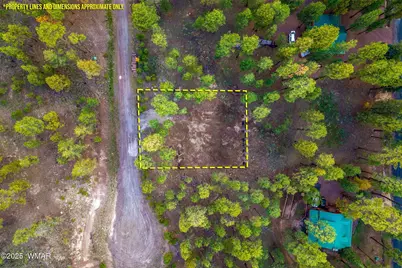 7 Eric Lane, Alpine, AZ 85920 - Photo 2