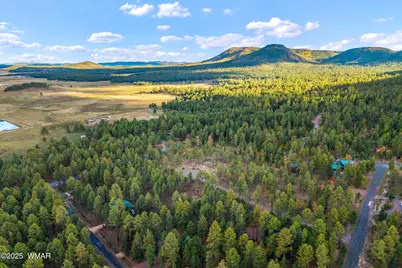 7 Eric Lane, Alpine, AZ 85920 - Photo 4