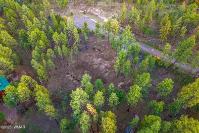 7 Eric Lane, Alpine, AZ 85920 - Photo 14