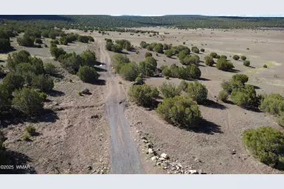 7 N Cr 8171, Concho, AZ 85924 - Photo 30