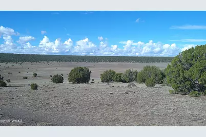 7 N Cr 8171, Concho, AZ 85924 - Photo 1