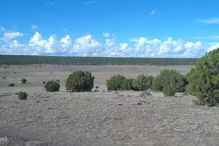 7 N Cr 8171, Concho, AZ 85924 - Photo 1