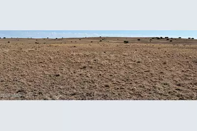 0 US Highway 180, Unit Lot 9C #Lot 9C, Concho, AZ 85924 - Photo 8