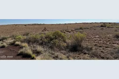 0 US Highway 180, Unit Lot 9C #Lot 9C, Concho, AZ 85924 - Photo 4
