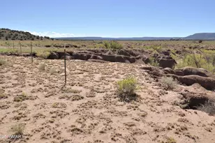 32 N8429, Concho, AZ 85924 - Photo 36