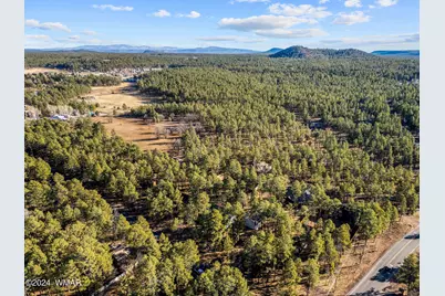 625 E Woodland Lake Road, Pinetop, AZ 85935 - Photo 62