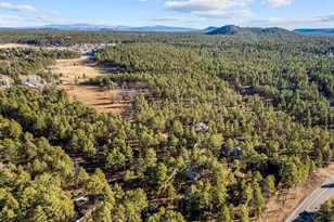 625 E Woodland Lake Rd, Pinetop, AZ 85935 - Photo 62
