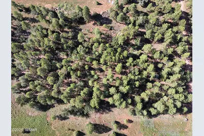 2651 Alisa Lane, Lakeside, AZ 85929 - Photo 1