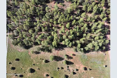 2651 Alisa Lane, Lakeside, AZ 85929 - Photo 2