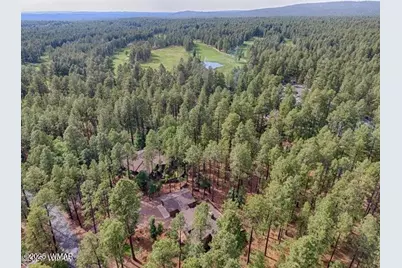 3680 Woodpecker Lane, Pinetop, AZ 85935 - Photo 36