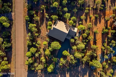 2758 Jaguar Circle, Overgaard, AZ 85933 - Photo 46