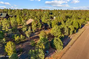 2758 Jaguar Cir, Overgaard, AZ 85933 - Photo 38