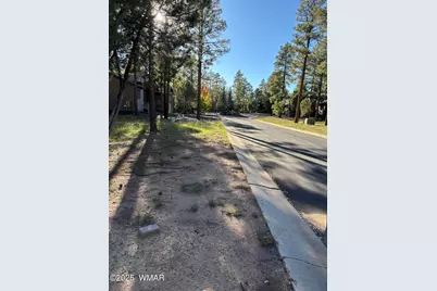 5003 Winter Hawk Court, Lakeside, AZ 85929 - Photo 4