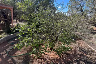 43 N9157, Concho, AZ 85924 - Photo 36