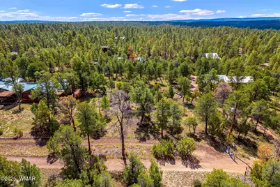 1909 Chevelon Road, Heber, AZ 85928 - Photo 2