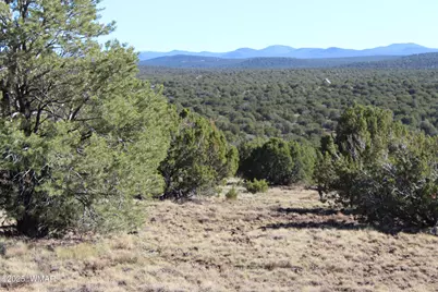 6 County Road 8052, Concho, AZ 85924 - Photo 12