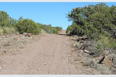 6 County Road 8052, Concho, AZ 85924 - Photo 16