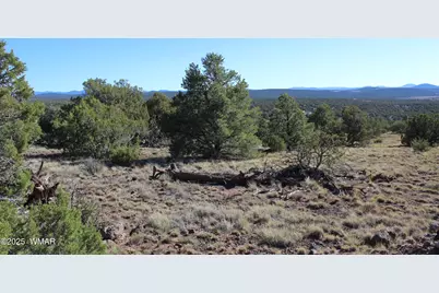 6 County Road 8052, Concho, AZ 85924 - Photo 2