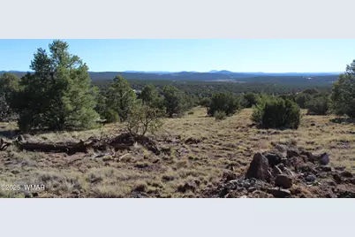 6 County Road 8052, Concho, AZ 85924 - Photo 8