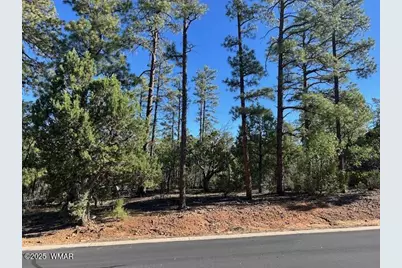 1901 S Little Creek Court, Show Low, AZ 85901 - Photo 2