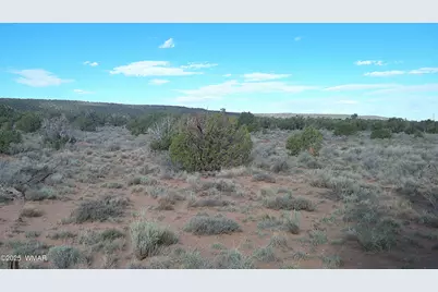 4123 W Juniper Road, Snowflake, AZ 85937 - Photo 26