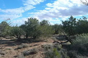 4123 W Juniper Rd, Snowflake, AZ 85937 - Photo 1