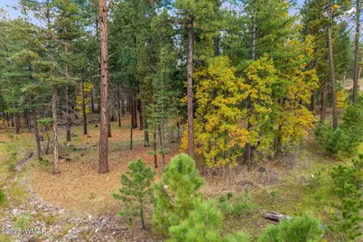 7 2190, Alpine, AZ 85920 - Photo 4