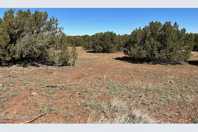 8656 Bonito Drive, Show Low, AZ 85901 - Photo 6