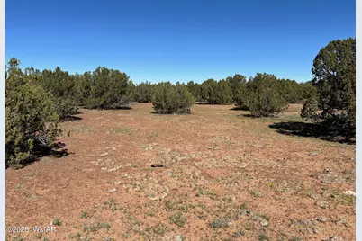 8656 Bonito Drive, Show Low, AZ 85901 - Photo 1