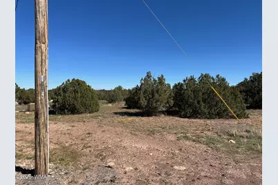 8656 Bonito Drive, Show Low, AZ 85901 - Photo 8