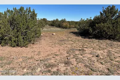 8656 Bonito Drive, Show Low, AZ 85901 - Photo 4