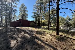 2381 W Willis, Show Low, AZ 85901 - Photo 6