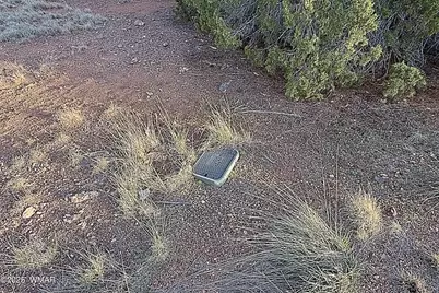 1926 Silver Lake Boulevard, Show Low, AZ 85901 - Photo 2