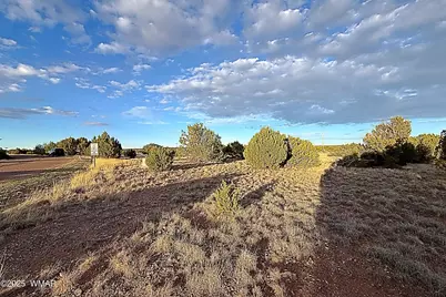 1926 Silver Lake Boulevard, Show Low, AZ 85901 - Photo 4