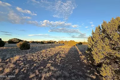 1930 Silver Lake Boulevard, Show Low, AZ 85901 - Photo 6